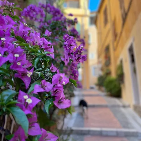 Vue Vieille Διαμέρισμα